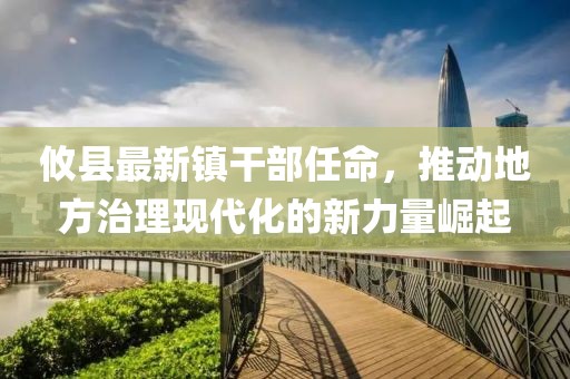 攸县最新镇干部任命，推动地方治理现代化的新力量崛起
