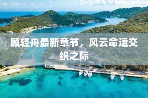 顾轻舟最新章节，风云命运交织之际