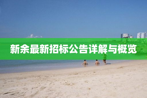 新余最新招标公告详解与概览