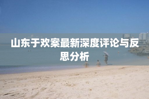 山东于欢案最新深度评论与反思分析