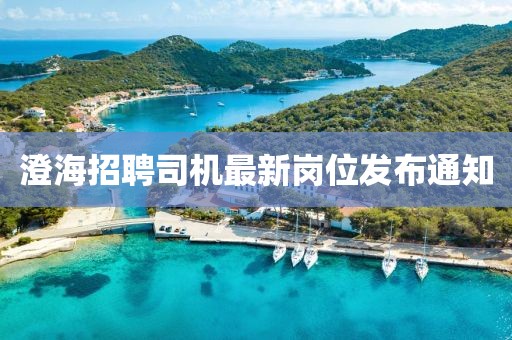 澄海招聘司机最新岗位发布通知