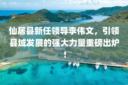 仙居县新任领导李伟文，引领县域发展的强大力量重磅出炉！
