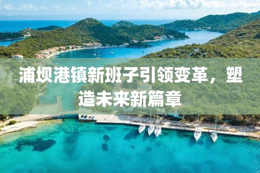 浦坝港镇新班子引领变革，塑造未来新篇章