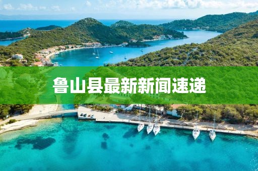 鲁山县最新新闻速递