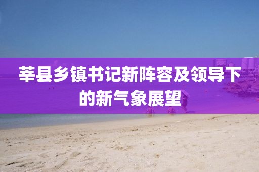 莘县乡镇书记新阵容及领导下的新气象展望