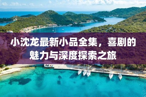 小沈龙最新小品全集，喜剧的魅力与深度探索之旅