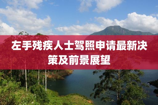 左手残疾人士驾照申请最新决策及前景展望