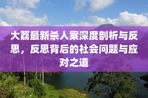 大荔最新杀人案深度剖析与反思，反思背后的社会问题与应对之道