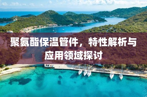 聚氨酯保温管件，特性解析与应用领域探讨