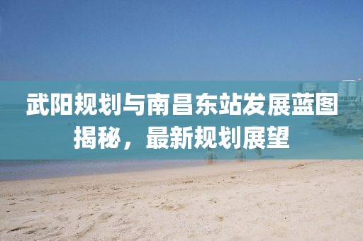 武阳规划与南昌东站发展蓝图揭秘，最新规划展望