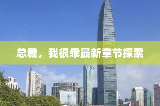 总裁，我很乖最新章节探索