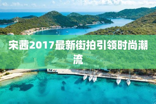 宋茜2017最新街拍引领时尚潮流