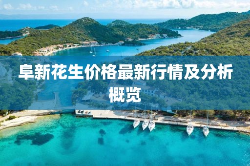 阜新花生价格最新行情及分析概览