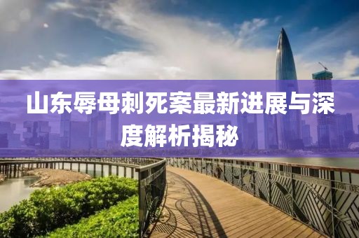 山东辱母刺死案最新进展与深度解析揭秘