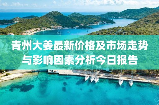 青州大姜最新价格及市场走势与影响因素分析今日报告