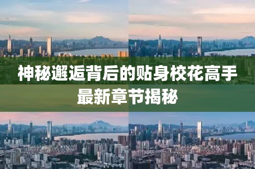 花开无言 第18页