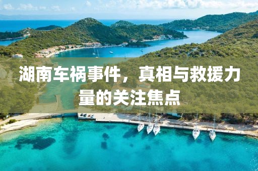 湖南车祸事件，真相与救援力量的关注焦点