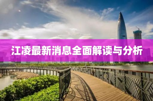 江凌最新消息全面解读与分析