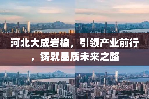 河北大成岩棉，引领产业前行，铸就品质未来之路