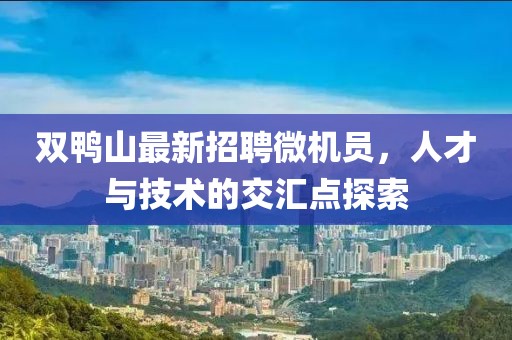 双鸭山最新招聘微机员，人才与技术的交汇点探索