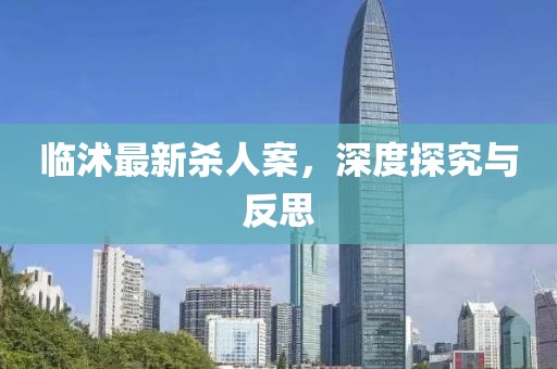 临沭最新杀人案，深度探究与反思