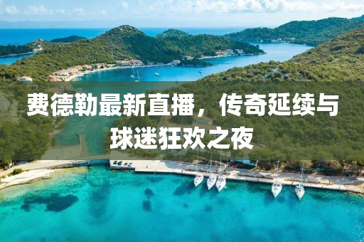 费德勒最新直播，传奇延续与球迷狂欢之夜