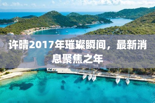 许晴2017年璀璨瞬间，最新消息聚焦之年
