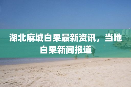 湖北麻城白果最新资讯，当地白果新闻报道