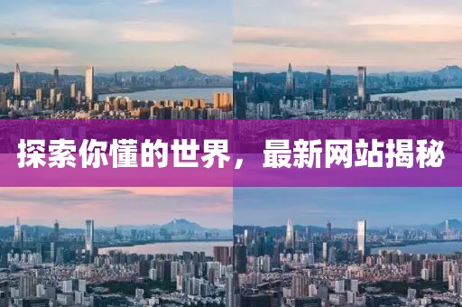 探索你懂的世界，最新网站揭秘