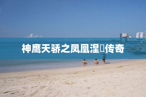 神鹰天骄之凤凰涅槃传奇