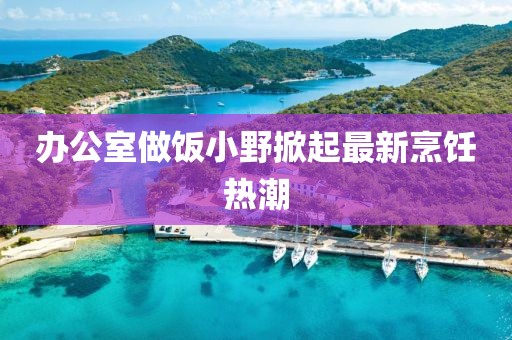 办公室做饭小野掀起最新烹饪热潮
