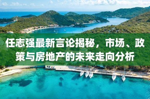 任志强最新言论揭秘，市场、政策与房地产的未来走向分析