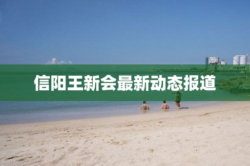 信阳王新会最新动态报道