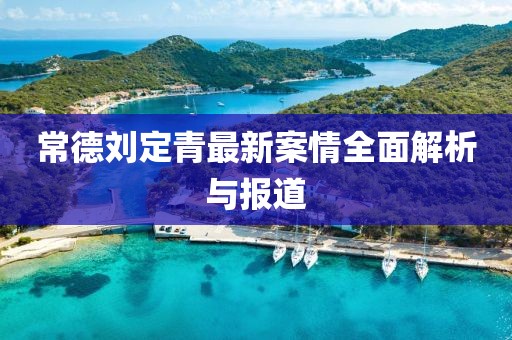 常德刘定青最新案情全面解析与报道