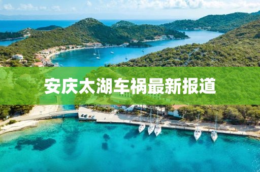 2024年12月 第23页