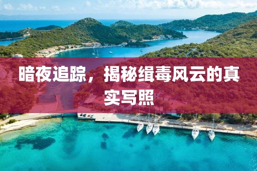 暗夜追踪，揭秘缉毒风云的真实写照
