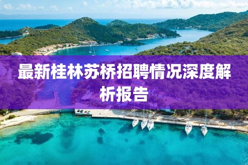 最新桂林苏桥招聘情况深度解析报告
