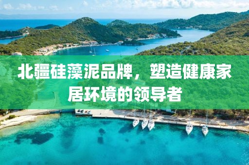 北疆硅藻泥品牌，塑造健康家居环境的领导者