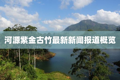 河源紫金古竹最新新闻报道概览