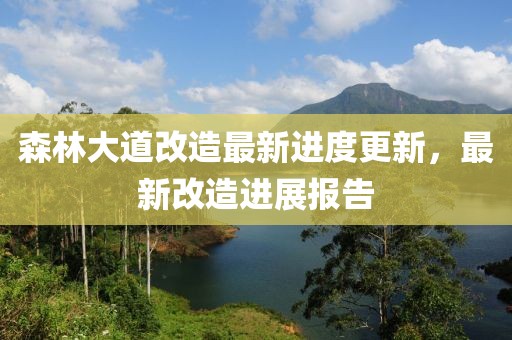 森林大道改造最新进度更新，最新改造进展报告
