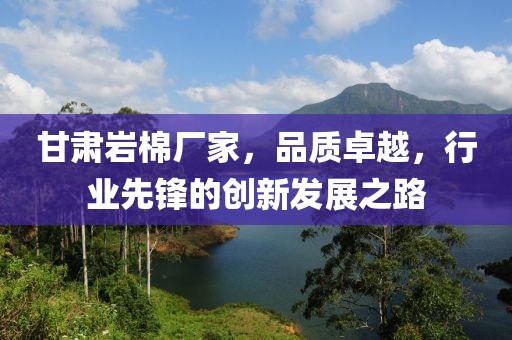 甘肃岩棉厂家，品质卓越，行业先锋的创新发展之路