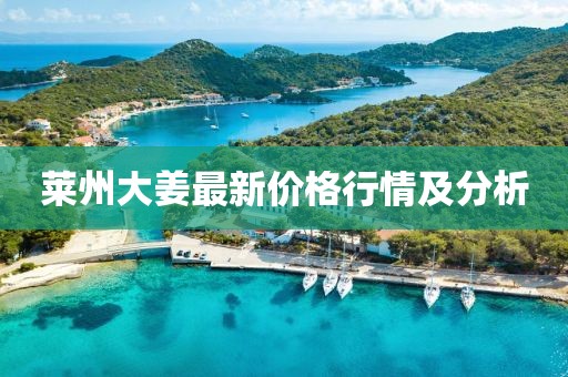 莱州大姜最新价格行情及分析