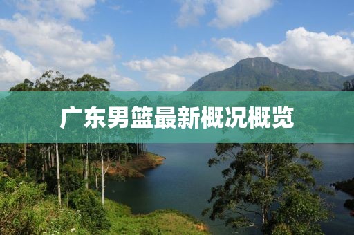广东男篮最新概况概览