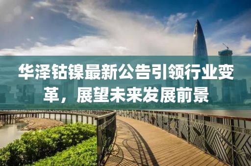 华泽钴镍最新公告引领行业变革，展望未来发展前景
