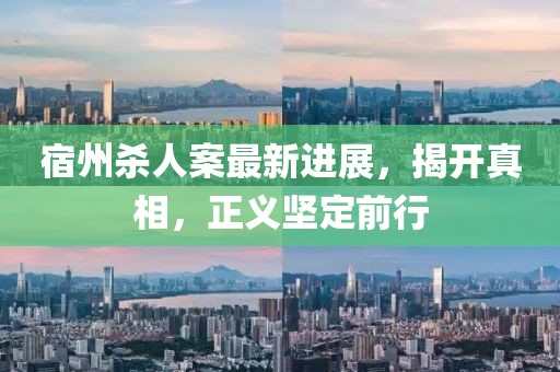 宿州杀人案最新进展，揭开真相，正义坚定前行
