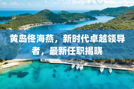 黄岛佟海燕，新时代卓越领导者，最新任职揭晓
