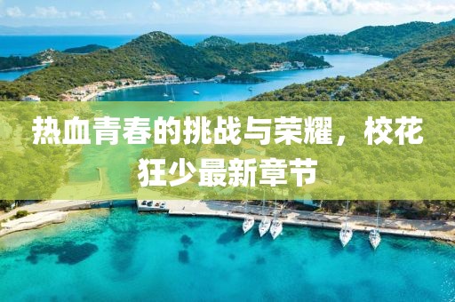 热血青春的挑战与荣耀，校花狂少最新章节