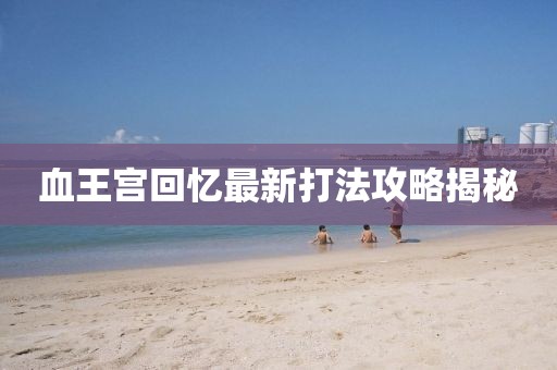 血王宫回忆最新打法攻略揭秘