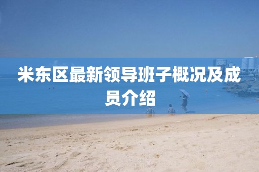 米东区最新领导班子概况及成员介绍