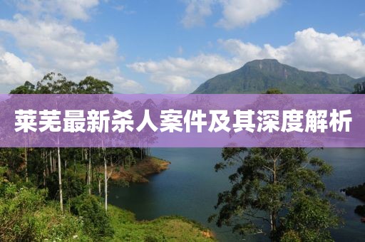 莱芜最新杀人案件及其深度解析